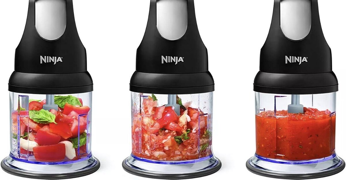 خردکن نینجا مدل Ninja NJ1002